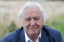 This Week on Portsmouth Point: Happy Birthday Sir David Attenborough This Week on Portsmouth Point: Happy Birthday Sir David Attenborough