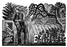 An 18th Century Revolution An 18th Century Revolution